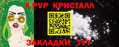 гашик Нальчик