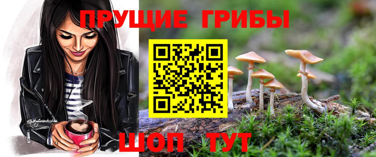 Галлюциногенные грибы Psilocybine cubensis Гуково